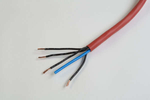 30181 Special cable 12 V / 24 V for 12 V to 24 V (low voltage) - Image 2